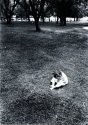 bad day at the park