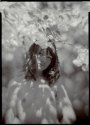 testing old lenses...again