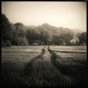 walking the dog  3rd marking point