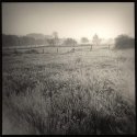 walking the dog   speedway