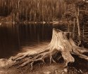 Jasper Lake