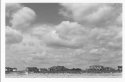 Scan00016
