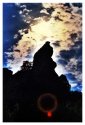 Garden of the Gods 1
