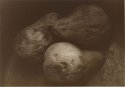 Three Pears - Lith