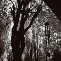 Wind Chimes - Little Things