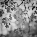 along the river