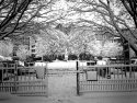 Golden Square-London