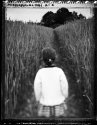 Pathway; Freyha, Marienfeld 2009