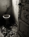 Shitter