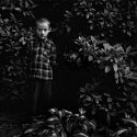 in the garden