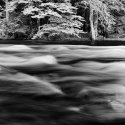 at the rivers edge
