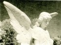 Cemetery Angel
