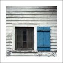 Window & Shutter