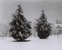 Snow in Atlanta