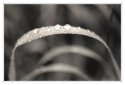 water drops