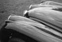 Bonnet