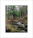 Ainsley Hollow  #2