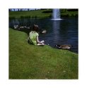 Claire and Geese. Second image of the one shot challenge