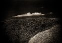 Joshua Tree
