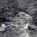 Birch Run
