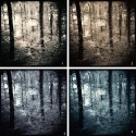 Walking up the Hill - Variations