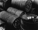 Bee Barrels
