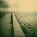Morning Mariners Trail