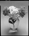 Peonies