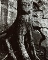 NE/OH Gathering -Roots and Ledges