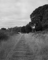 Trentham Railway