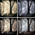 Direction Sign - Variations
