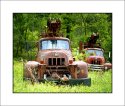 Germania Well Drilling Company Graveyard