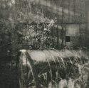 Farm Still Life