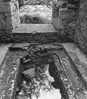 South Wheal Francis #2