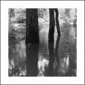 Wallkill River in Flood3
