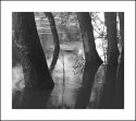 Wallkill River in Flood6