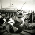 At the Fair