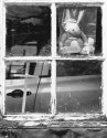 Garage Window