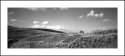 Sheep Herder's Hut
