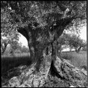 Costa Brava, Spain, 2009