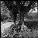 Costa Brava. Spain, 2009