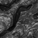 Rock Formation - Point Lobos