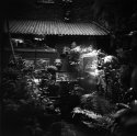 Secret Garden & Ghost?
