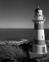 Cape Palliser Lighthouse