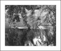 Wallkill River in Flood5