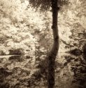At the Pond 4
