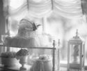 Kodak Aero Ektar - 5426 diffusionfilter