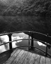 Birchville Dam - Topside