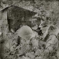 Today's small farmer