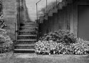 The Mission, back door.